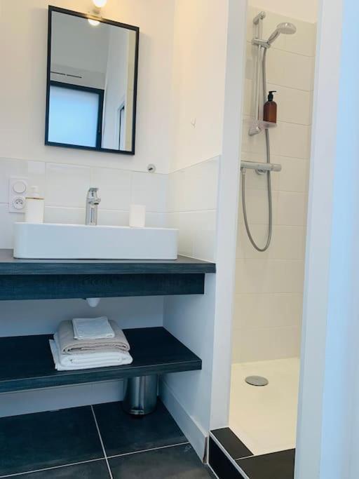 Loft - Lumineux - Television * Vannes